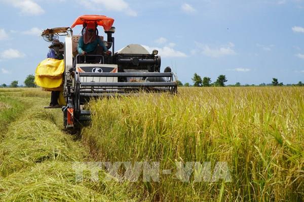 Đòn bẩy đưa nông nghiệp Việt Nam tiến đến hiện đại và xanh hóa
