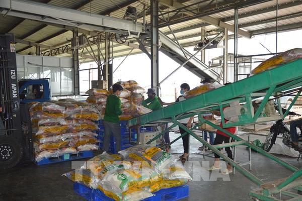 Đồng Tháp xác định tăng trưởng từ “kiềng ba chân” kinh tế