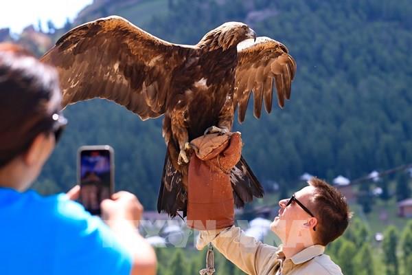 Khám phá công viên quốc gia Terelj, thảo nguyên bao la trong lòng Mông Cổ
