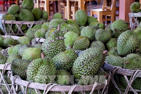 Phó Thủ tướng yêu cầu chuẩn hóa thủ tục xuất khẩu trước 31/7