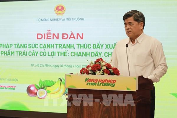 Xây dựng chiến lược xuất khẩu hiệu quả cho các loại trái cây tiềm năng