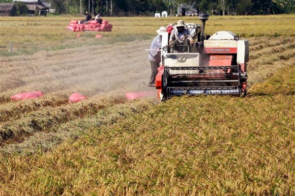 Cà Mau: Chuyển đổi số tạo đà phát triển cho các hợp tác xã​