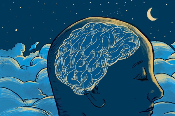 Tìm ra cơ chế bộ não đánh thức cơ thể sau giấc ngủ