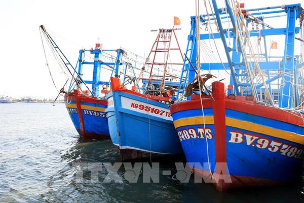 “Số hóa” nghề cá giúp ngư dân vươn khơi bám biển