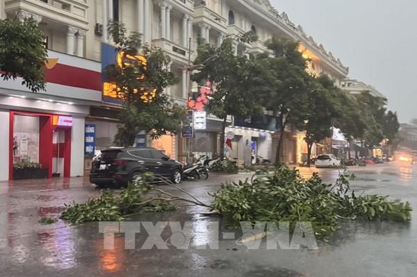 Hưng Yên: Cây xanh, biển hiệu quảng cáo bị gẫy, đổ do mưa lớn
