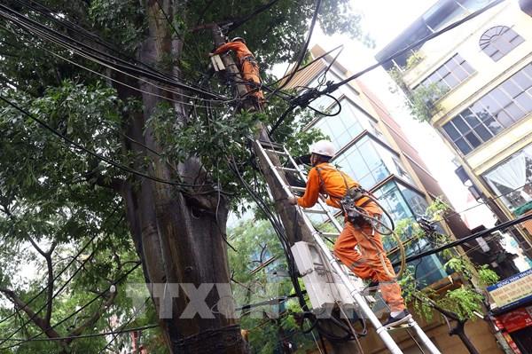Ứng phó bão số 3: Vận hành hệ thống điện quốc gia theo phương châm “4 tại chỗ”