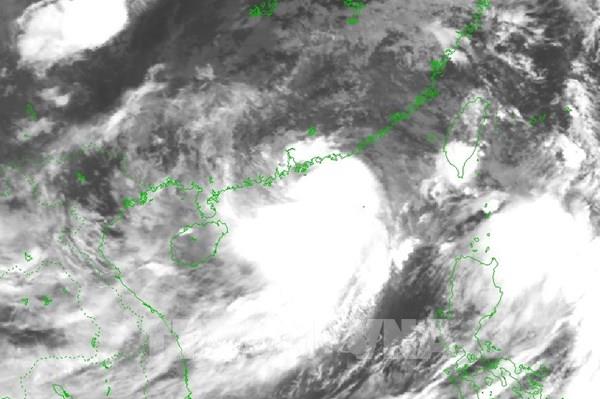 Ứng phó với bão số 3: Quảng Ninh tạm dừng cấp phép rời cảng đối với tàu khách