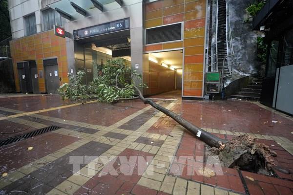 Bão Wipha “càn quét” Trung Quốc: Giao thông tê liệt, kinh tế thiệt hại nặng