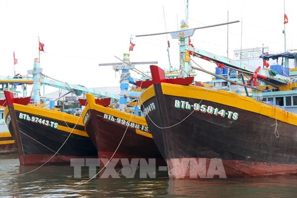 Lâm Đồng quản lý nghiêm ngặt tàu thuyền ra khơi