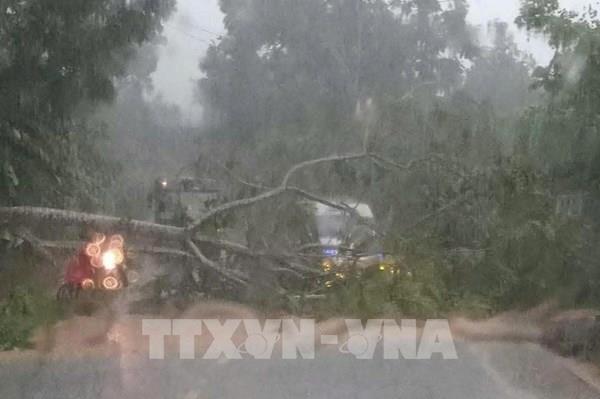 Cảnh báo mưa đá, dông lốc và mưa lớn cục bộ trên địa bàn tỉnh Tây Ninh