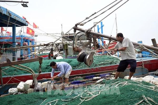 Ninh Bình tạm dừng các cuộc họp không cần thiết để ứng phó bão số 3