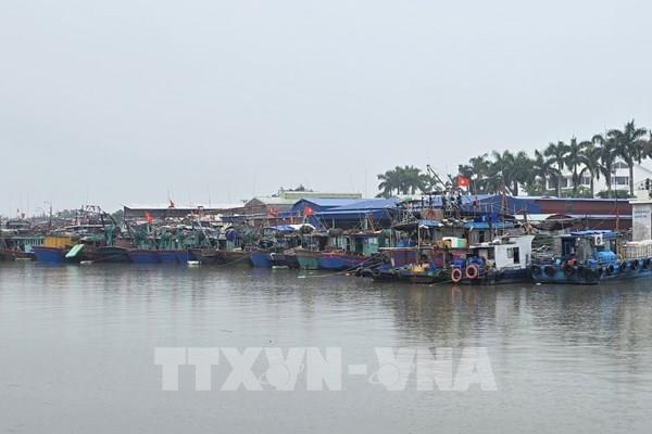 Hải Phòng triển khai đồng bộ các biện pháp ứng phó siêu bão RAGASA