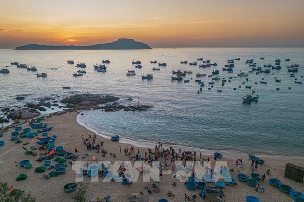 Nét mộc mạc yên bình của chợ cá Phước Đồng