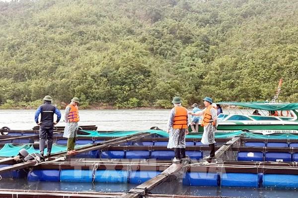 Quảng Ninh di dời 7.518 người ở các khu nuôi trồng thủy sản lên bờ an toàn