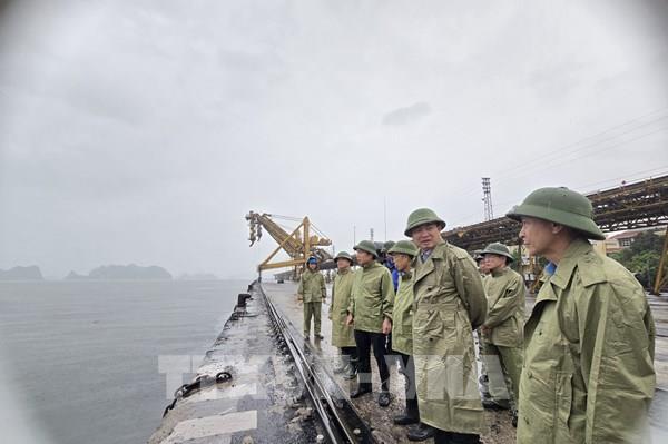 Tập đoàn TKV kiểm tra công tác phòng chống bão tại 3 vùng sản xuất than