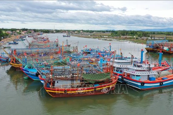 Bố trí nơi tránh trú cho phương tiện đường thủy khi có tình huống khẩn cấp