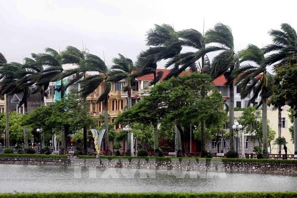 Kỹ năng an toàn trước bão: Cộng đồng cần biết