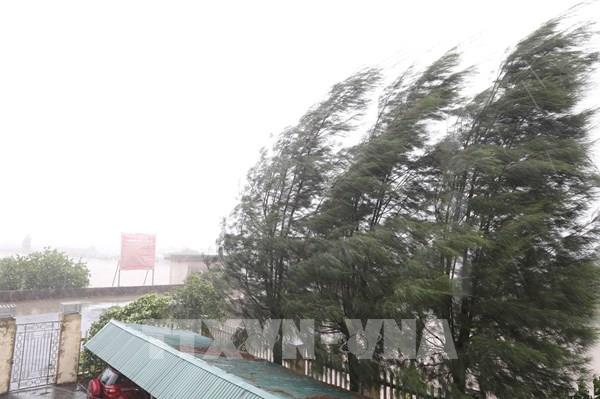 13 giờ ngày 22/7, bão số 3 trên đất liền các tỉnh Ninh Bình-Thanh Hóa