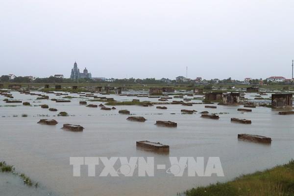 Bão số 3 gây ngập úng trên 121.300 ha cây trồng