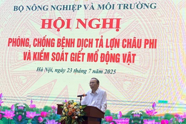 Nguyên nhân nào khiến dịch tả lợn châu Phi có chiều hướng gia tăng?