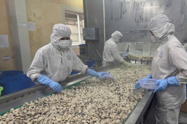 Cải thiện khả năng tiếp cận vốn cho doanh nghiệp