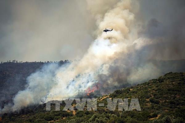 Cháy rừng nghiêm trọng tại Thổ Nhĩ Kỳ, ít nhất 10 người thiệt mạng