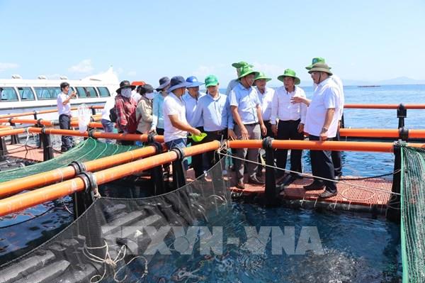 Phát triển kinh tế tư nhân: Động lực mới ở Khánh Hòa