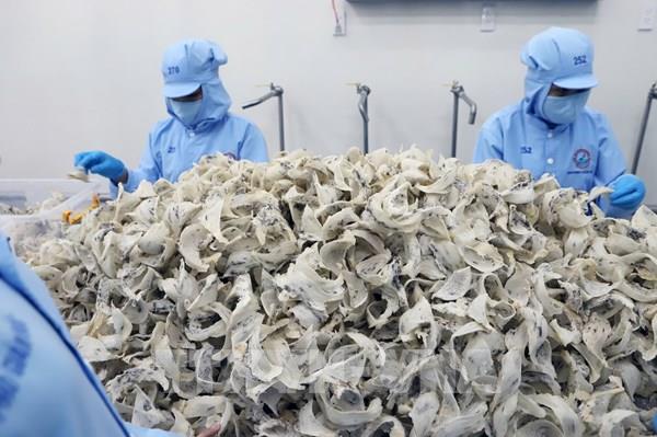 Những “trụ cột” để kinh tế Khánh Hòa tăng trưởng