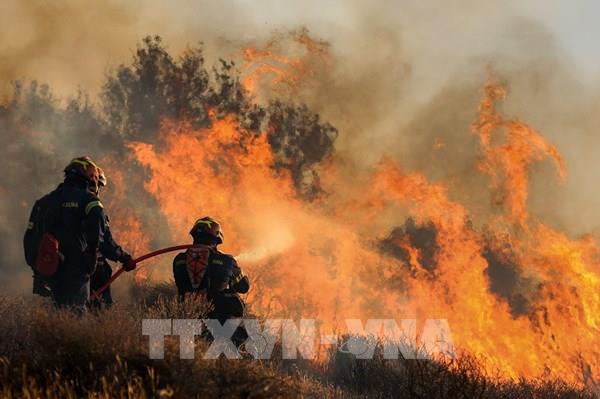 Công nghệ AI giúp dự báo cháy rừng chính xác hơn