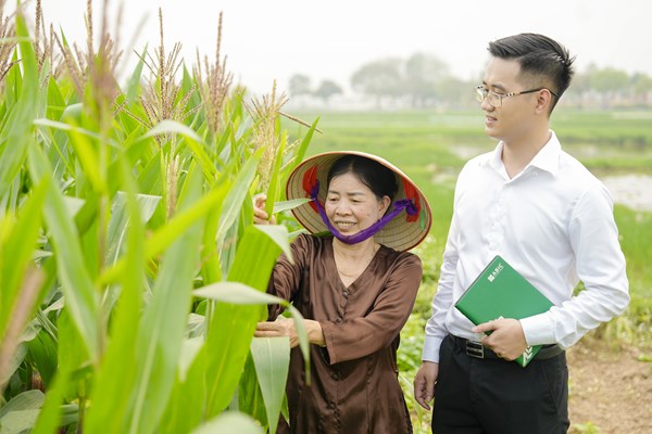 Bảo hiểm - “Tấm lá chắn” thiết yếu trong chiến lược thích ứng với biến đổi khí hậu - Bài 2: Chung tay xây dựng hệ sinh thái bảo hiểm bền vững, nhân văn