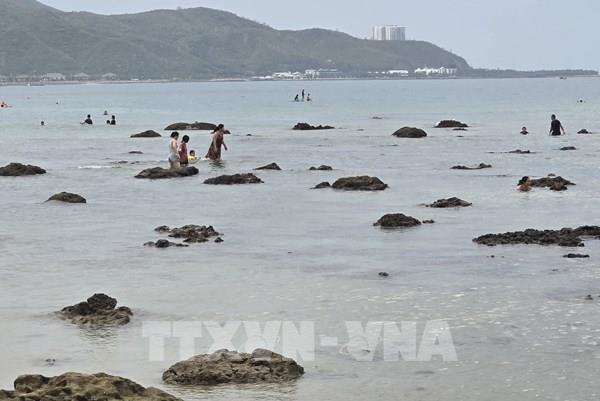 Tăng cường bảo vệ rạn san hô tại Hòn Chồng (Nha Trang)
