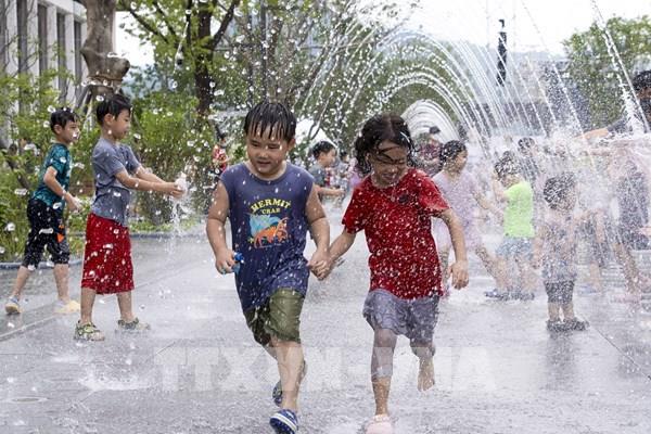 Nắng nóng kéo dài ở Hàn Quốc khiến số bệnh nhân tăng mạnh