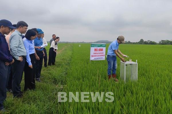 Lúa Việt vào thị trường carbon - Bài cuối: Hành trình định danh