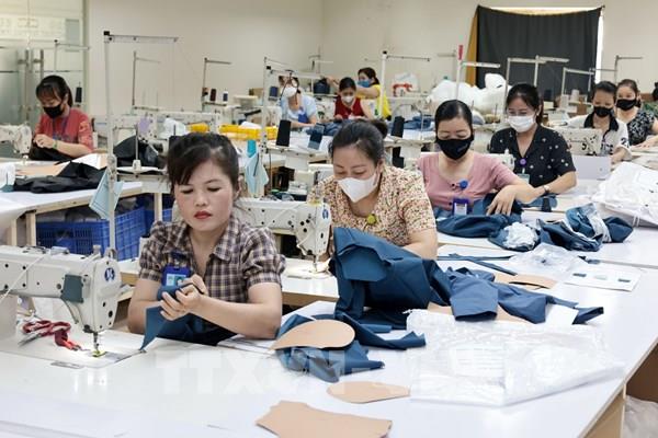 Từ 1/1/2026, ai sẽ bị cắt trợ cấp thất nghiệp?