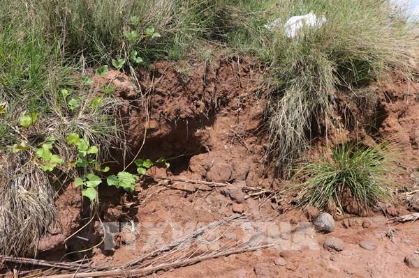 Sạt lở "ăn" dần cù lao ở hạ nguồn sông Hậu