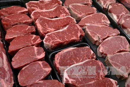 Thực phẩm nuôi cấy - giải pháp cho khủng hoảng giá lương thực toàn cầu?