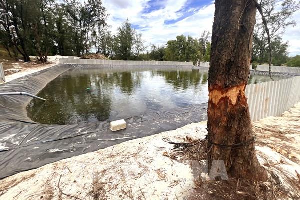 Báo động tình trạng chiếm đất rừng nuôi cá lóc trái phép