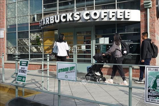 Lãi ròng của Starbucks giảm gần 50% so với cùng kỳ