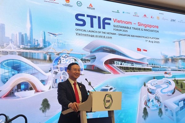 Kết nối doanh nghiệp Việt Nam-Singapore trong không gian số