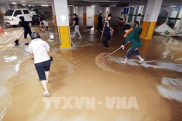 Hàn Quốc sơ tán khẩn cấp hơn 2.500 người trong mưa lũ