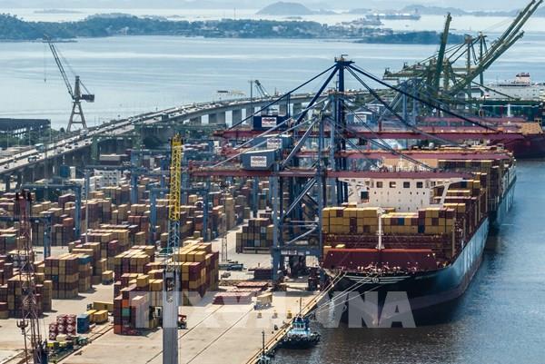 Brazil tập trung hỗ trợ trong nước thay vì đáp trả thuế quan với Mỹ