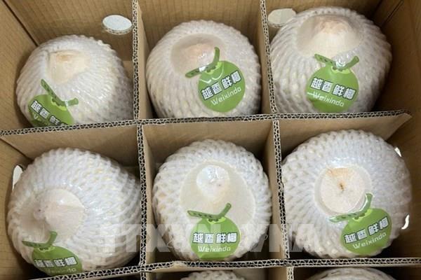 Gần 22 tấn dừa tươi Việt Nam xuất khẩu chính ngạch qua cửa khẩu Bắc Luân II