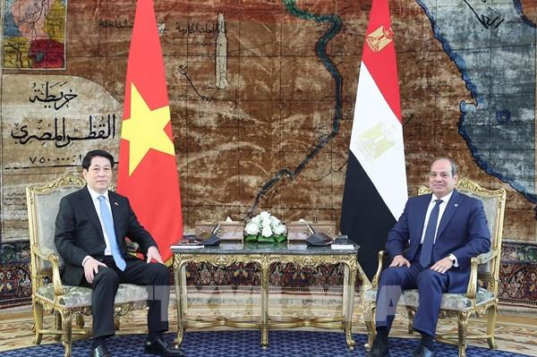 Chủ tịch nước Lương Cường hội đàm với Tổng thống Ai Cập