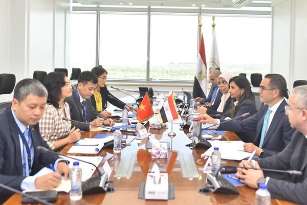 Việt Nam - Ai Cập thúc đẩy hợp tác kinh tế, hướng tới FTA song phương