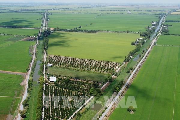 ĐBSCL trỗi dậy từ nước lũ: Hướng đi thuận thiên