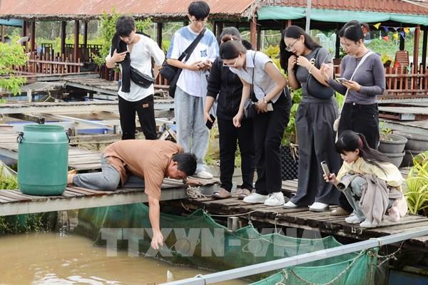 Khởi động tour du lịch Tết và chiến lược kinh doanh 2026