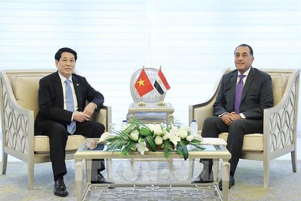 Truyền thông Ai Cập: Chuyến thăm của Chủ tịch nước Lương Cường đánh dấu bước tiến thực chất trong quan hệ hai nước