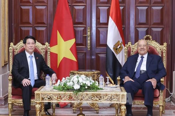 Chủ tịch nước Lương Cường hội kiến Chủ tịch Thượng viện Ai Cập