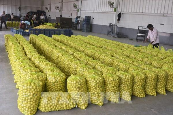 Mức thuế 50% của Mỹ và rủi ro hàng tỷ USD cho kinh tế Ấn Độ