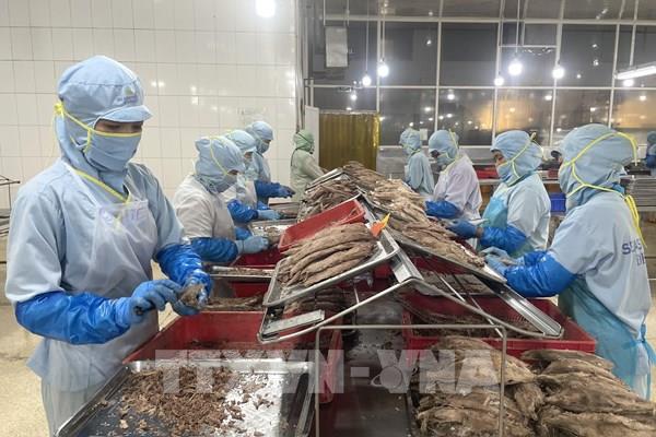 Thủy sản Việt thay đổi tư duy để chinh phục thị trường nội địa